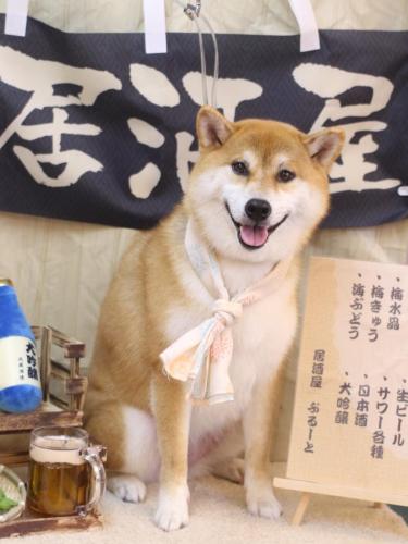 20240625マロンちゃん